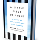 Image for article titled A Little Piece of Light: With a New Memoir, Donna Hylton Proves There Is Life After Prison